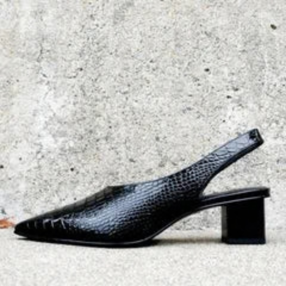 Supportive Crocodile Pumps
