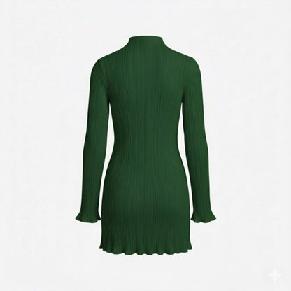 Ribbed Knit High Neck Dress