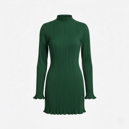 Ribbed Knit High Neck Dress