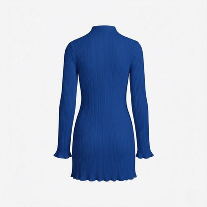 Ribbed Knit High Neck Dress