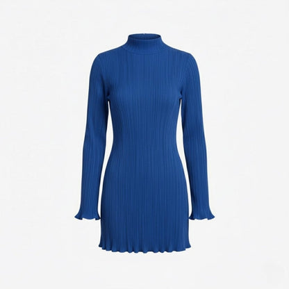 Ribbed Knit High Neck Dress