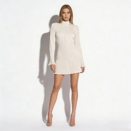 Ribbed Knit High Neck Dress