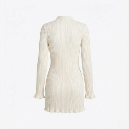 Ribbed Knit High Neck Dress